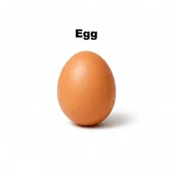 Egg