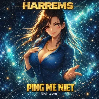 Ping me niet (Nightcore 2010 remix)