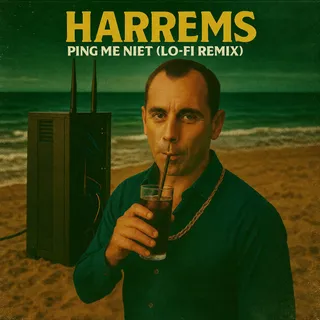Ping me niet (Lo-Fi Remix)