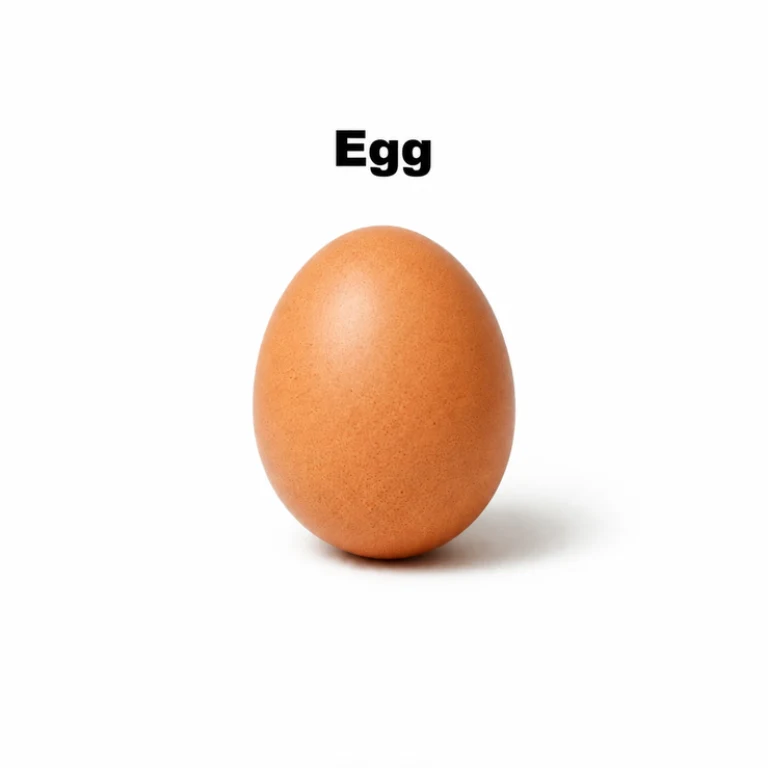 Egg
